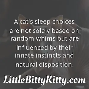 A cat's sleep choices are not solely based on random whims but are influenced by their innate instincts and natural disposition.