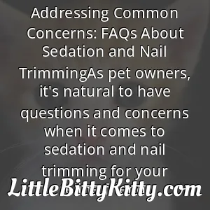 Addressing Common Concerns: FAQs About Sedation and Nail TrimmingAs pet owners, it's natural to have questions and concerns when it comes to sedation and nail trimming for your feline friend.