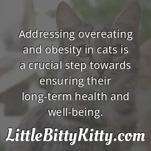Addressing overeating and obesity in cats is a crucial step towards ensuring their long-term health and well-being.