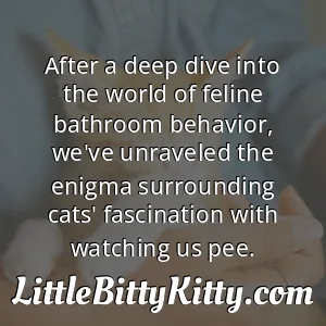 After a deep dive into the world of feline bathroom behavior, we've unraveled the enigma surrounding cats' fascination with watching us pee.