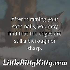 After trimming your cat's nails, you may find that the edges are still a bit rough or sharp.