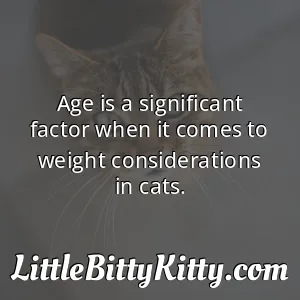 Age is a significant factor when it comes to weight considerations in cats.