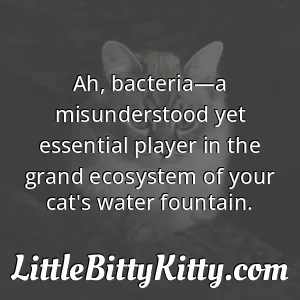 Ah, bacteria—a misunderstood yet essential player in the grand ecosystem of your cat's water fountain.