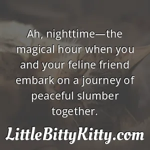 Ah, nighttime—the magical hour when you and your feline friend embark on a journey of peaceful slumber together.
