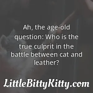 Ah, the age-old question: Who is the true culprit in the battle between cat and leather?