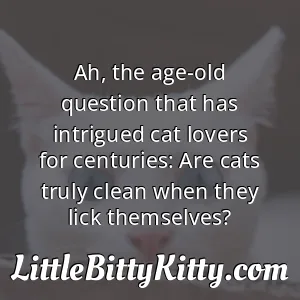 Ah, the age-old question that has intrigued cat lovers for centuries: Are cats truly clean when they lick themselves?