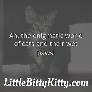 Ah, the enigmatic world of cats and their wet paws!