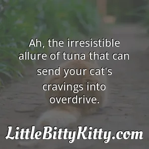 Ah, the irresistible allure of tuna that can send your cat's cravings into overdrive.