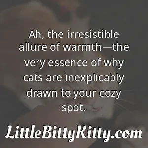Ah, the irresistible allure of warmth—the very essence of why cats are inexplicably drawn to your cozy spot.