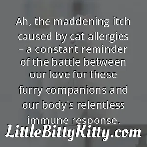 Ah, the maddening itch caused by cat allergies – a constant reminder of the battle between our love for these furry companions and our body's relentless immune response.