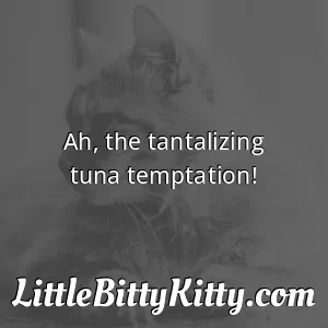 Ah, the tantalizing tuna temptation!