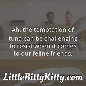 Ah, the temptation of tuna can be challenging to resist when it comes to our feline friends.