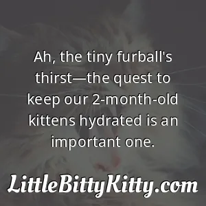 Ah, the tiny furball's thirst—the quest to keep our 2-month-old kittens hydrated is an important one.