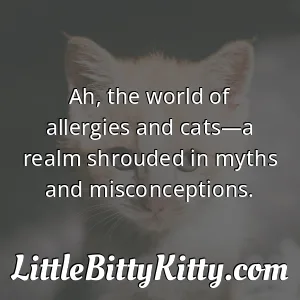 Ah, the world of allergies and cats—a realm shrouded in myths and misconceptions.