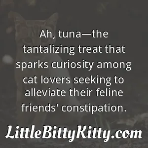 Ah, tuna—the tantalizing treat that sparks curiosity among cat lovers seeking to alleviate their feline friends' constipation.