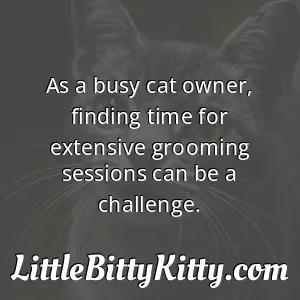 As a busy cat owner, finding time for extensive grooming sessions can be a challenge.
