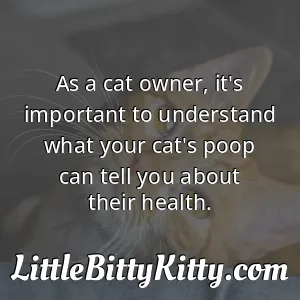As a cat owner, it's important to understand what your cat's poop can tell you about their health.
