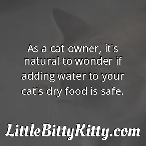 As a cat owner, it's natural to wonder if adding water to your cat's dry food is safe.