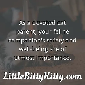 As a devoted cat parent, your feline companion's safety and well-being are of utmost importance.