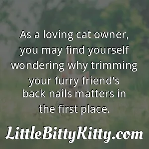 As a loving cat owner, you may find yourself wondering why trimming your furry friend's back nails matters in the first place.