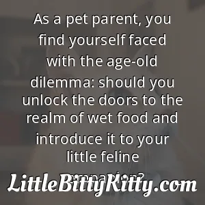 As a pet parent, you find yourself faced with the age-old dilemma: should you unlock the doors to the realm of wet food and introduce it to your little feline companion?