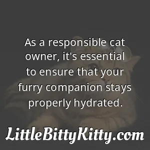 As a responsible cat owner, it's essential to ensure that your furry companion stays properly hydrated.