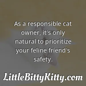 As a responsible cat owner, it's only natural to prioritize your feline friend's safety.