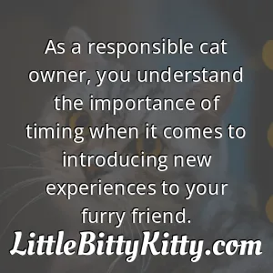 As a responsible cat owner, you understand the importance of timing when it comes to introducing new experiences to your furry friend.