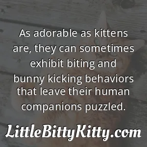 As adorable as kittens are, they can sometimes exhibit biting and bunny kicking behaviors that leave their human companions puzzled.