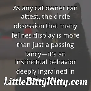As any cat owner can attest, the circle obsession that many felines display is more than just a passing fancy—it's an instinctual behavior deeply ingrained in their nature.