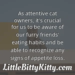 As attentive cat owners, it's crucial for us to be aware of our furry friends' eating habits and be able to recognize any signs of appetite loss.