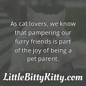 As cat lovers, we know that pampering our furry friends is part of the joy of being a pet parent.