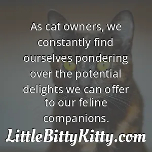 As cat owners, we constantly find ourselves pondering over the potential delights we can offer to our feline companions.