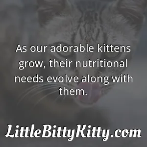 As our adorable kittens grow, their nutritional needs evolve along with them.