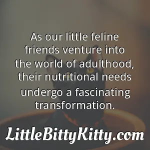 As our little feline friends venture into the world of adulthood, their nutritional needs undergo a fascinating transformation.