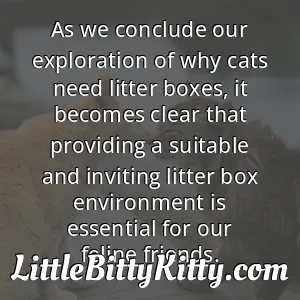 As we conclude our exploration of why cats need litter boxes, it becomes clear that providing a suitable and inviting litter box environment is essential for our feline friends.