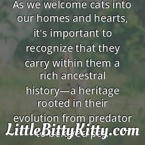 As we welcome cats into our homes and hearts, it's important to recognize that they carry within them a rich ancestral history—a heritage rooted in their evolution from predator to beloved pet.