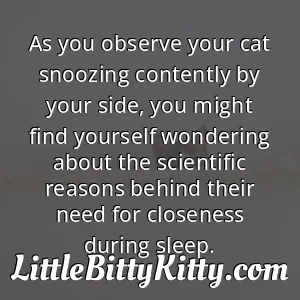 As you observe your cat snoozing contently by your side, you might find yourself wondering about the scientific reasons behind their need for closeness during sleep.