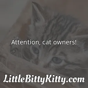 Attention, cat owners!