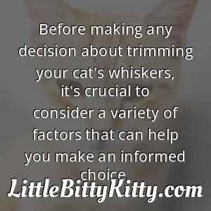 Before making any decision about trimming your cat's whiskers, it's crucial to consider a variety of factors that can help you make an informed choice.