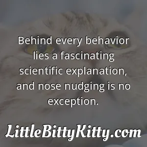 Behind every behavior lies a fascinating scientific explanation, and nose nudging is no exception.