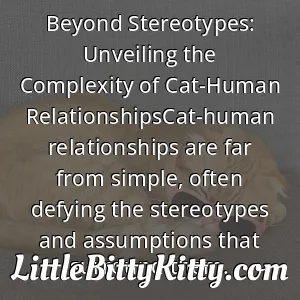Beyond Stereotypes: Unveiling the Complexity of Cat-Human RelationshipsCat-human relationships are far from simple, often defying the stereotypes and assumptions that surround them.