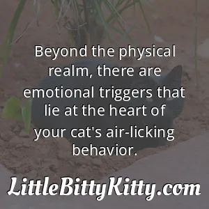 Beyond the physical realm, there are emotional triggers that lie at the heart of your cat's air-licking behavior.