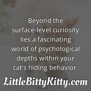 Beyond the surface-level curiosity lies a fascinating world of psychological depths within your cat's hiding behavior.