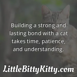 Building a strong and lasting bond with a cat takes time, patience, and understanding.