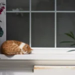 Can Cats Eat Celery? Unveiling the Green Truth for Your Feline Friends