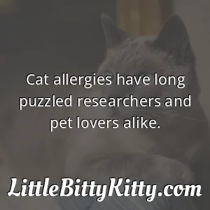 Cat allergies have long puzzled researchers and pet lovers alike.