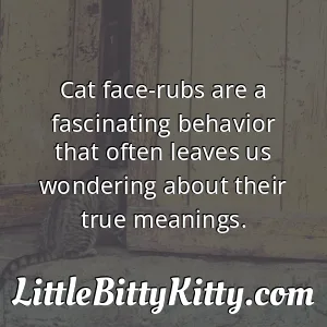 Cat face-rubs are a fascinating behavior that often leaves us wondering about their true meanings.