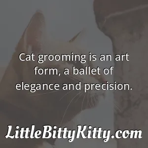 Cat grooming is an art form, a ballet of elegance and precision.