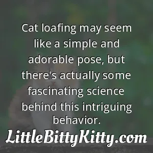 Cat loafing may seem like a simple and adorable pose, but there's actually some fascinating science behind this intriguing behavior.